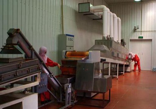 微(wēi)波調味品幹燥殺(shā)菌設備 微波調味品幹燥殺菌設備